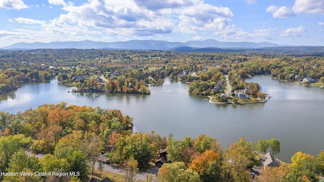 29 Fallen Tree Ln, Athens, NY 12015 - drone / aerial view of a water and mountain view and a heavily wooded area