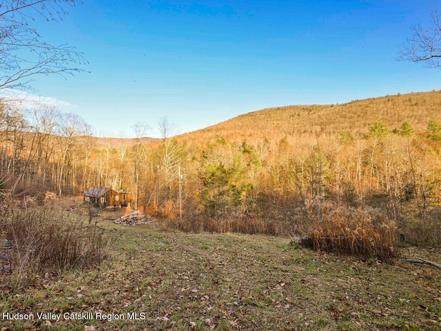 property view of mountains