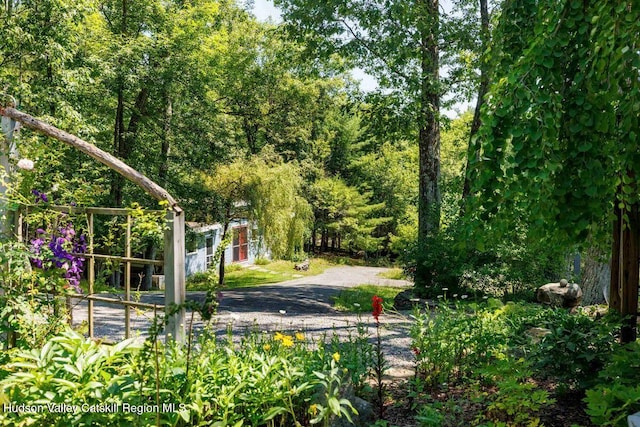67 Cricket Rdg, Bearsville, NY 12409 - photo 59
