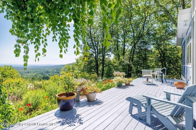 67 Cricket Rdg, Bearsville, NY 12409 - photo 54