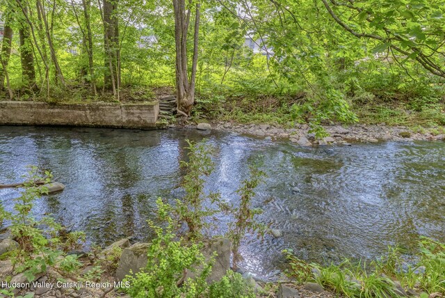 29 Jerome Ave, Cairo, NY 12413 - photo 4