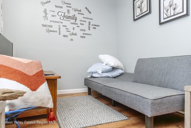 29 Jerome Ave, Cairo, NY 12413 - photo 27