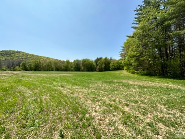 L34.111 County Rte 9, New Lebanon, NY 12125 - photo 3