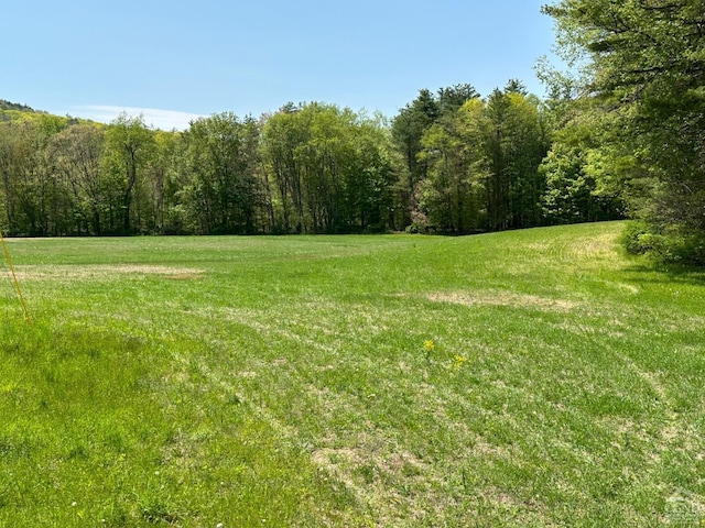 L34.111 County Rte 9, New Lebanon, NY 12125 - photo 4