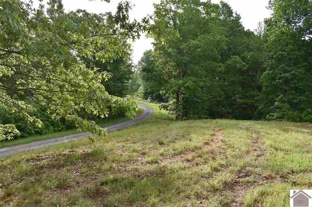 3LOTS Liberty Ln, Cadiz KY, 42211 land for sale