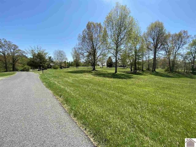 Listing photo 3 for 000 24th, Benton KY 42025