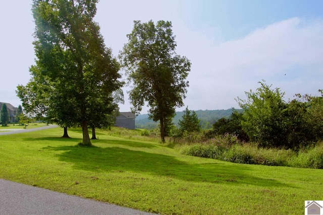 LOT4 Rose Ln, Eddyville KY, 42038 land for sale