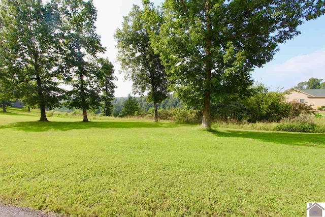 Listing photo 2 for LOT4 Rose Ln, Eddyville KY 42038