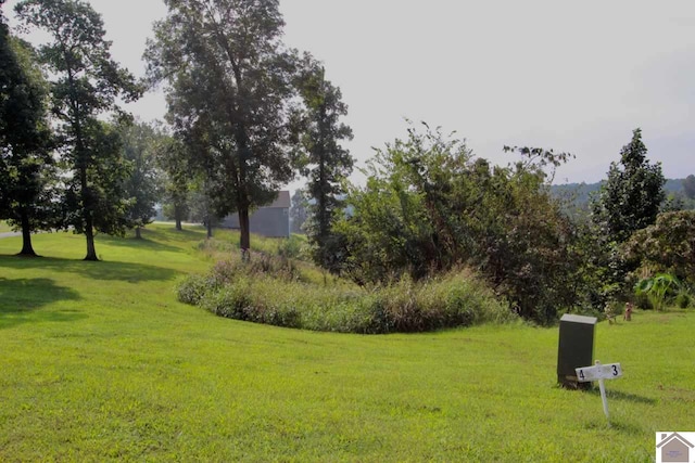 Listing photo 3 for LOT4 Rose Ln, Eddyville KY 42038