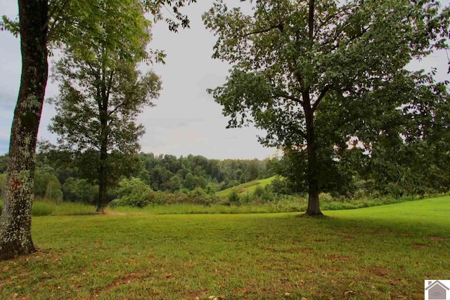 LOT5 Rose Ln, Eddyville KY, 42038 land for sale