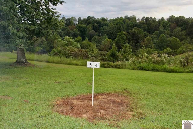 Listing photo 2 for LOT5 Rose Ln, Eddyville KY 42038