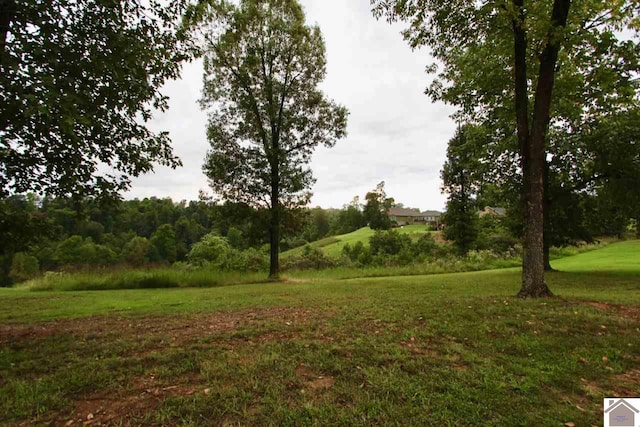 Listing photo 3 for LOT5 Rose Ln, Eddyville KY 42038