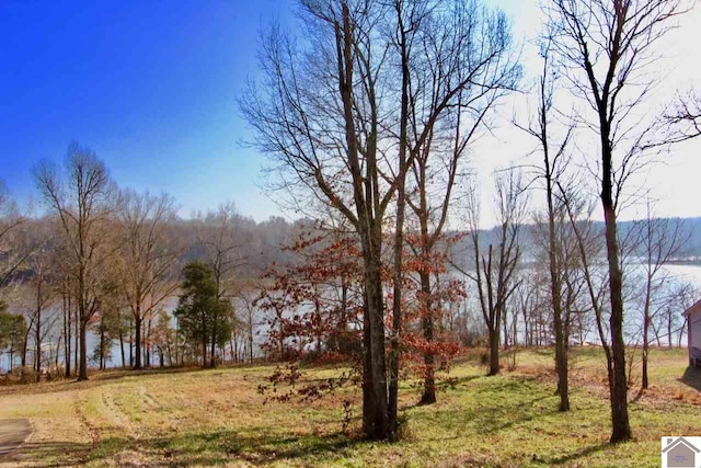 LOT80 Kelsey Jo Ln, Eddyville KY, 42038 land for sale