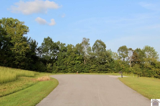 Listing photo 2 for LOT80 Kelsey Jo Ln, Eddyville KY 42038