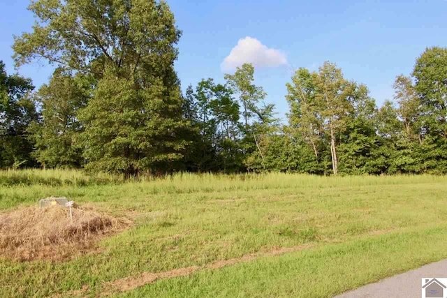 LOT86 Kelsey Jo, Eddyville KY, 42038 land for sale