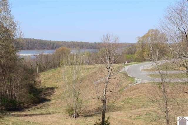 LOT35 Oak View Ln, Eddyville KY, 42038 land for sale