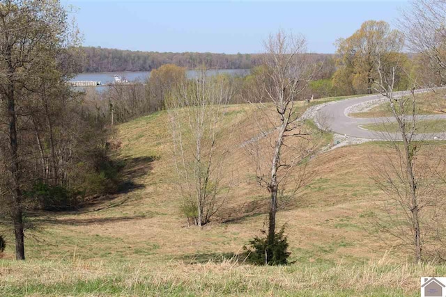 Listing photo 3 for LOT35 Oak View Ln, Eddyville KY 42038