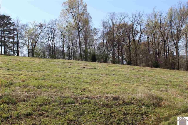 Listing photo 3 for LOTS1 Oak View Ln, Eddyville KY 42038