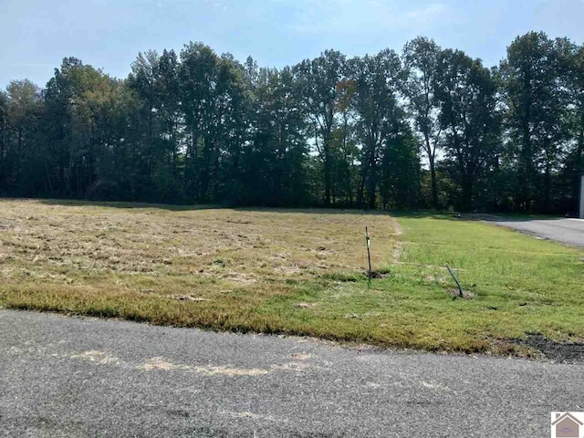 4470 Lance Walton Rd, Paducah KY, 42001 land for sale