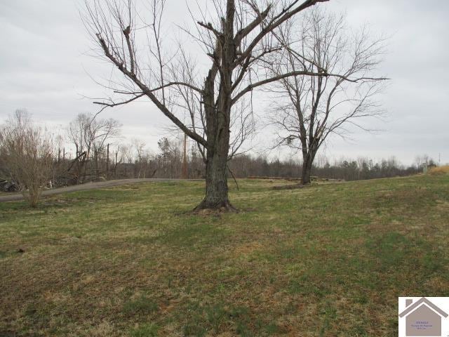 149 Lynn Nelson Rd, Benton KY, 42025 land for sale