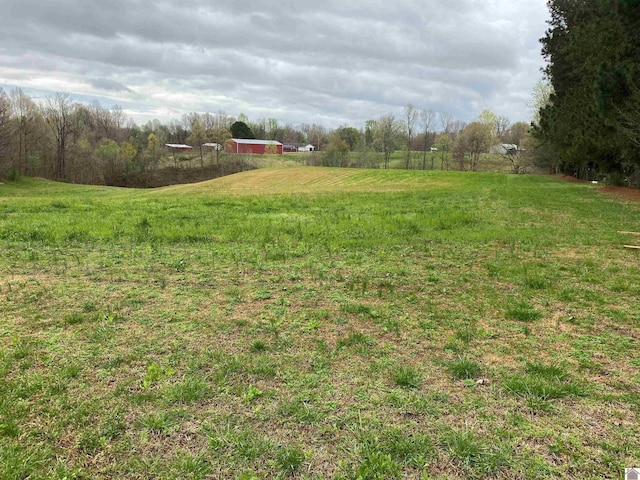 0000 Bethlehem Church Rd, Wickliffe KY, 42087 land for sale