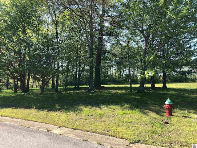 Links Ln, Mayfield KY, 42066 land for sale