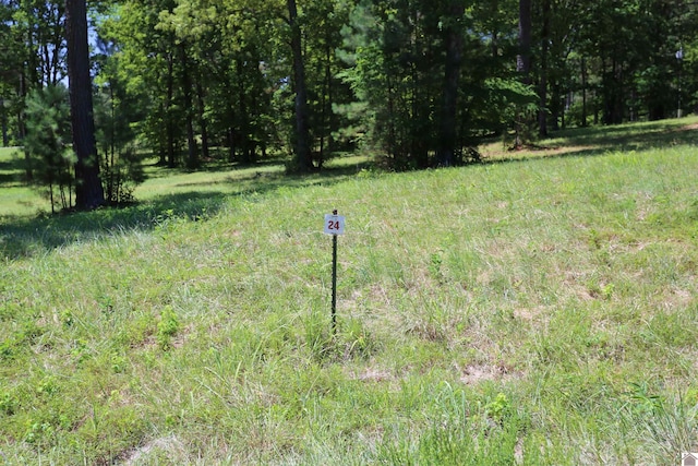 LOT24 Pine View Dr, Benton KY, 42025 land for sale