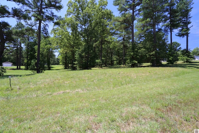 Listing photo 2 for LOT24 Pine View Dr, Benton KY 42025