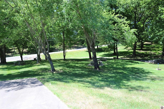 Listing photo 3 for LOT24 Pine View Dr, Benton KY 42025