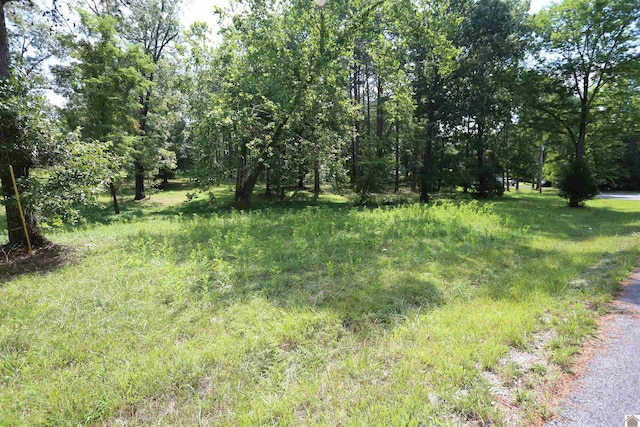 Listing photo 2 for LOT44 Doe Valley Dr, Benton KY 42025