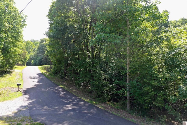 Listing photo 2 for Center Ridge Rd, Eddyville KY 42038