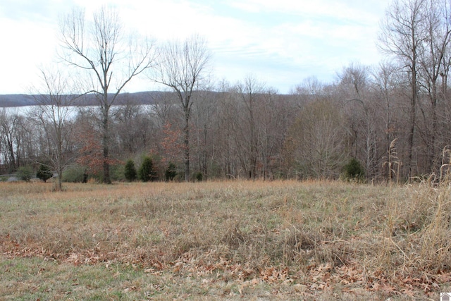 Listing photo 2 for LOT19 Oak View Ln, Eddyville KY 42038