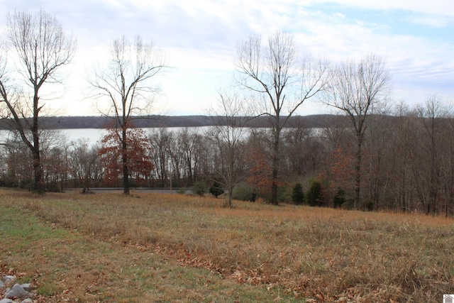 Listing photo 3 for LOT19 Oak View Ln, Eddyville KY 42038