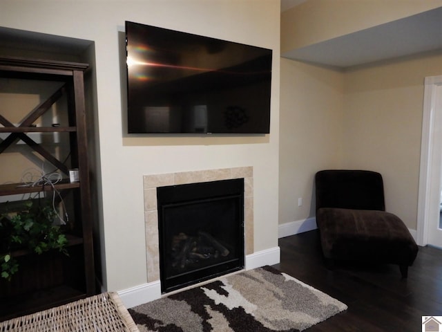 living room featuring dark wood-type flooring and a fireplace