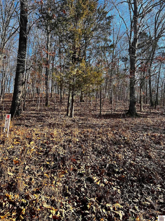 Listing photo 3 for LOT36 Canton Heights 2 Cir, Cadiz KY 42211