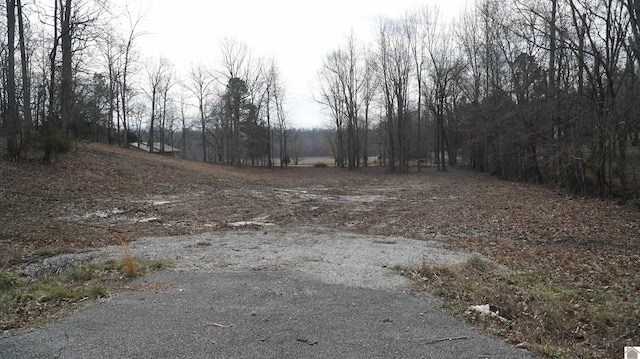 000 Fern Creek Ln, Benton KY, 42025 land for sale