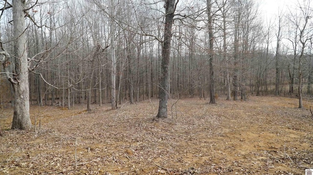 000 Fern Creek Ln, Benton KY, 42025 land for sale