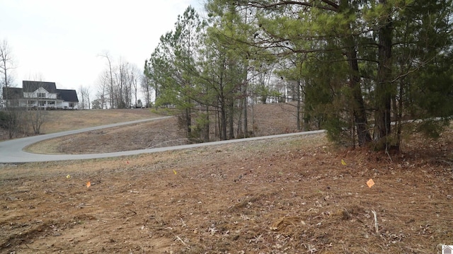 Listing photo 3 for 000 Fern Creek Ln, Benton KY 42025