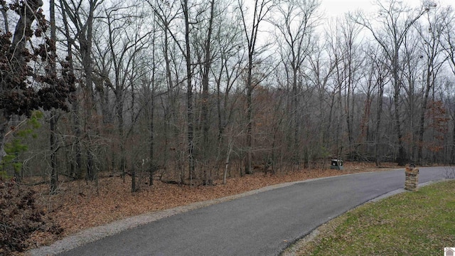 Listing photo 2 for Cliffwood Ln, Murray KY 42071