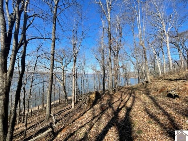 LOT28 Dixon Ln, Eddyville, KY 42038