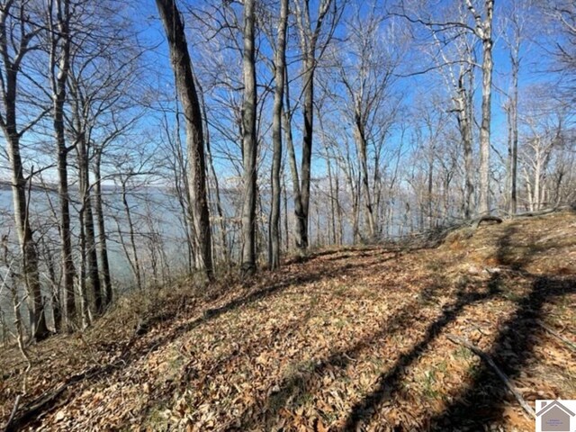 LOT28 Dixon Ln, Eddyville, KY 42038