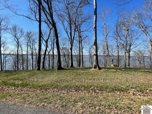 LOT28 Dixon Ln, Eddyville, KY 42038