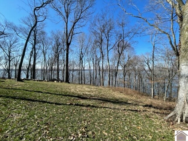 LOT28 Dixon Ln, Eddyville, KY 42038