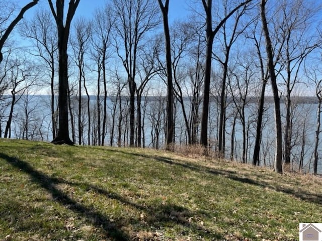 LOT28 Dixon Ln, Eddyville, KY 42038