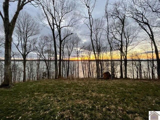 LOT28 Dixon Ln, Eddyville, KY 42038