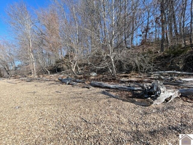 LOT28 Dixon Ln, Eddyville, KY 42038