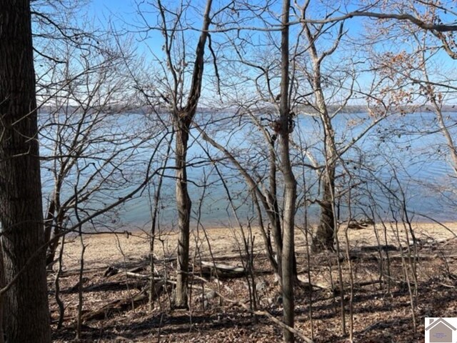 LOT28 Dixon Ln, Eddyville, KY 42038