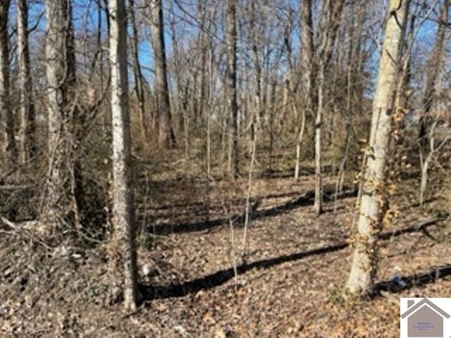 0 Hickory St, Lacenter KY, 42056 land for sale