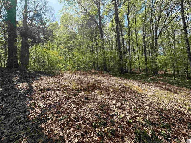 625 Country Hills Dr, Eddyville KY, 42038 land for sale