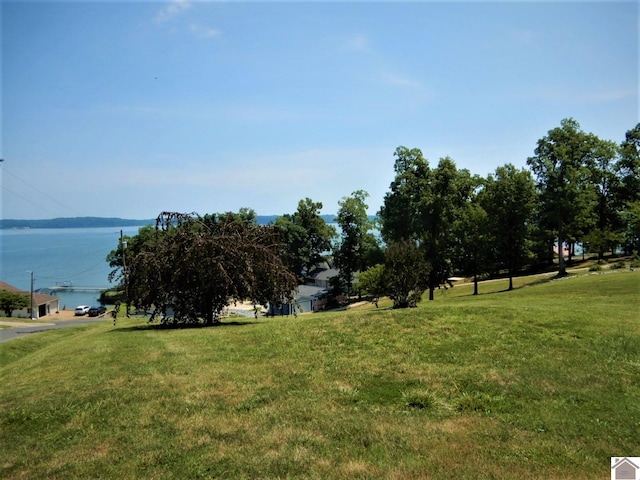 Listing photo 3 for 27 Paradise Point Rd, Gilbertsville KY 42044